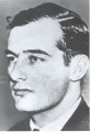 a biography of raoul wallenberg a diplomat a biography of raoul wallenberg a diplomat